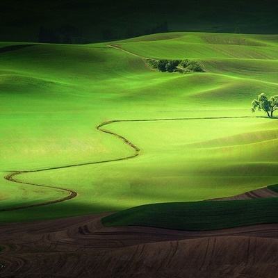 问题公司步步走低 130股市值不足20亿